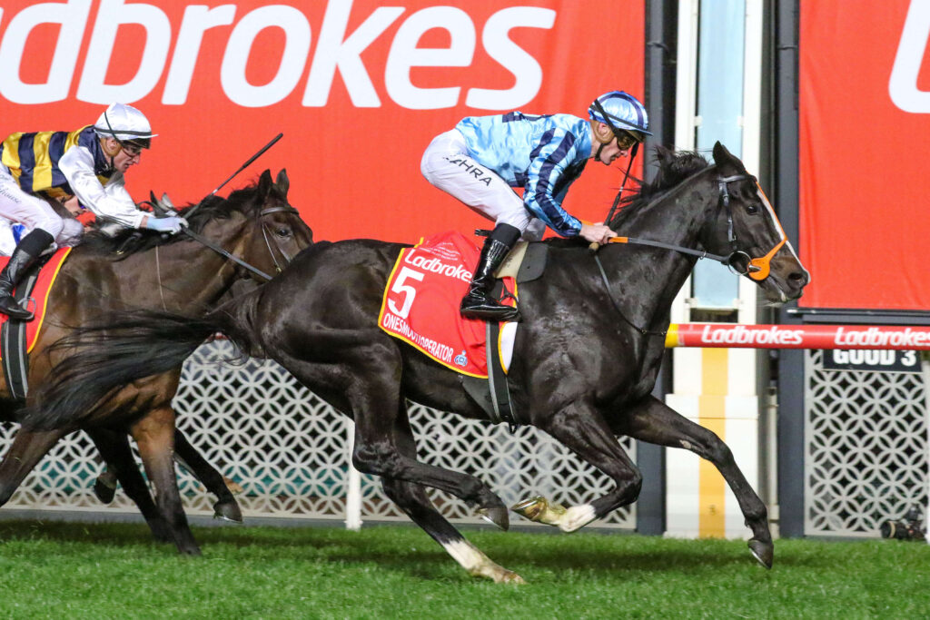 2025 Moonee Valley Gold Cup winner Onesmoothoperator