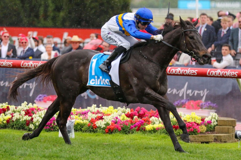 2025 McEwen Stakes winner Jigsaw