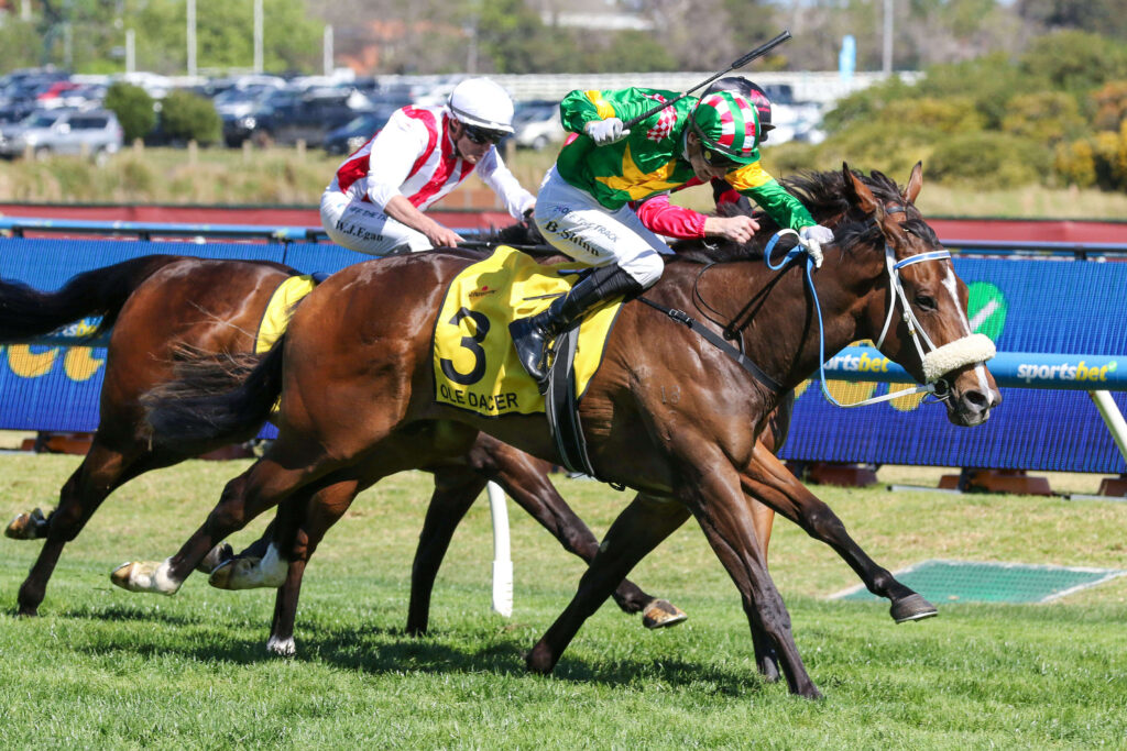 2025 Thousand Guineas winner Ole Dancer