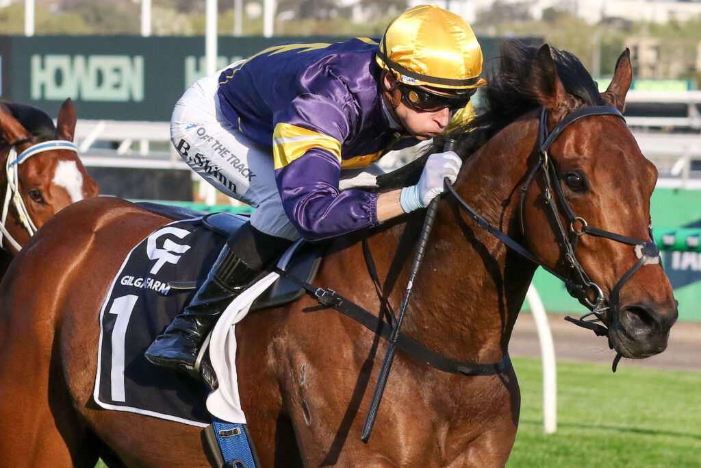 2025 Gilgai Stakes winner War Machine