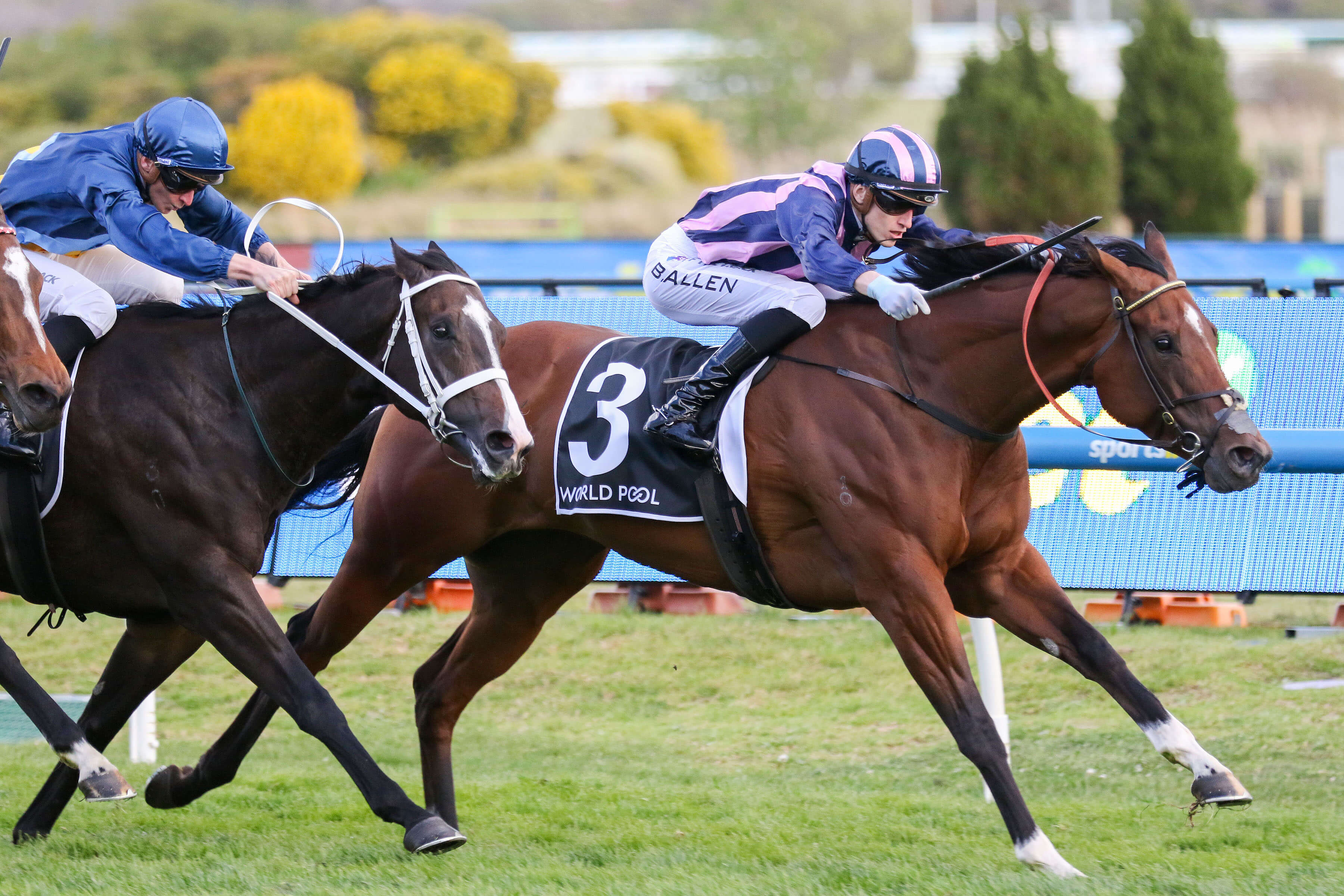 2025 Northwood Plume Stakes winner She's Bulletproof