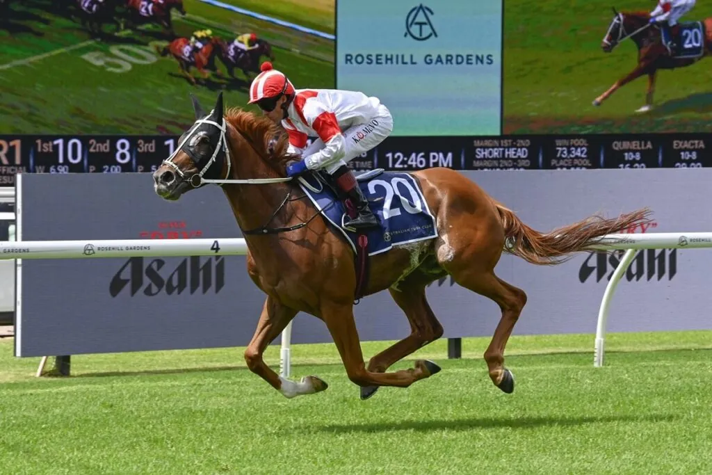 2025 Melbourne Cup Runners: Land Legend