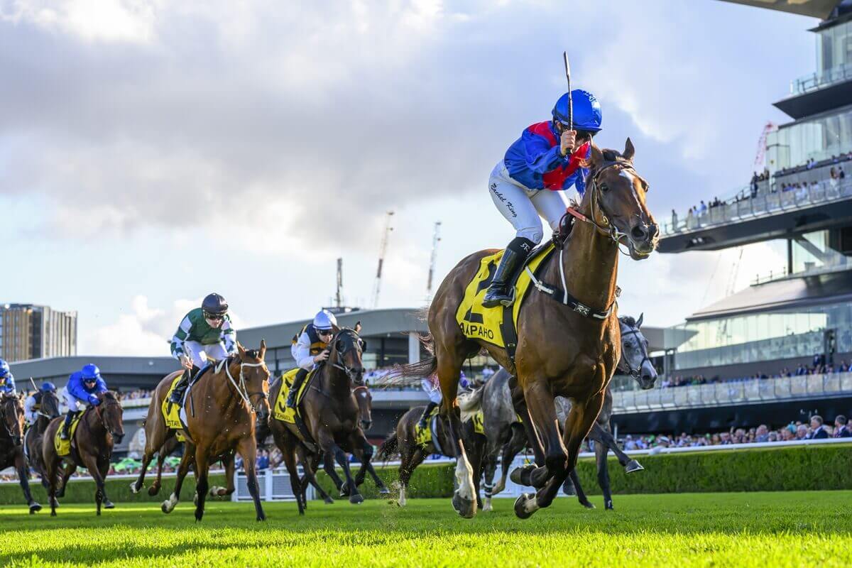 2025 Melbourne Cup Runners: Arapaho