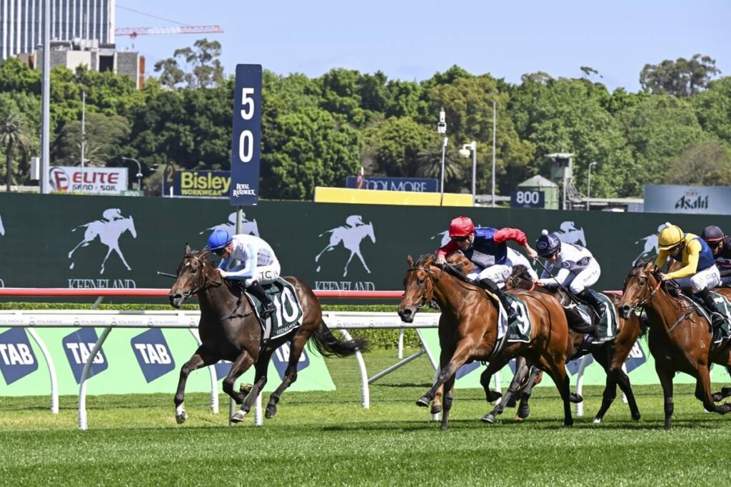 2025 Gimcrack Stakes winner Shiki