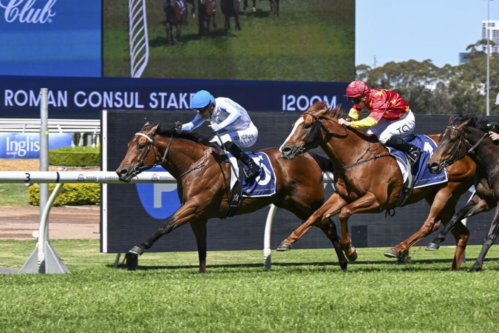 2025 Roman Consul Stakes winner Hidden Motive