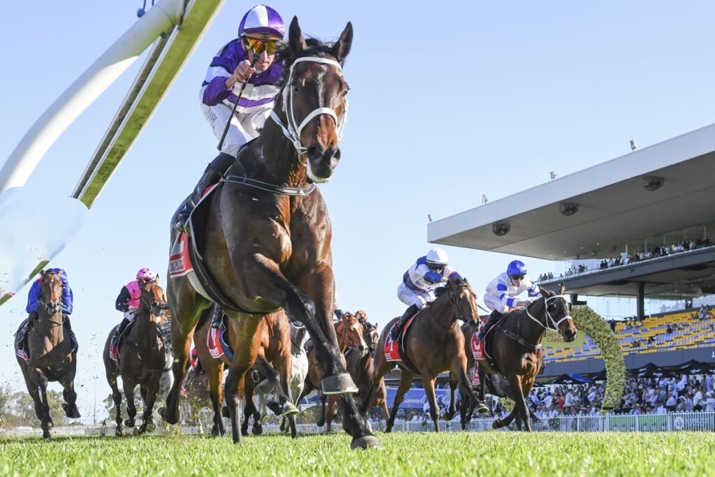 2025 Hill Stakes winner Lindermann