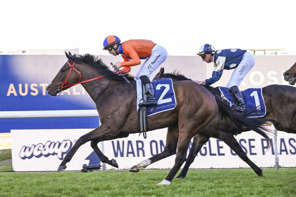 2025 Alan Brown Stakes winner Headley Grange