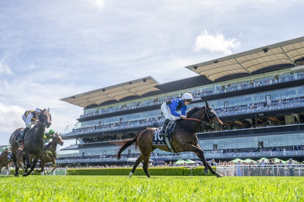 2025 Angst Stakes winner Idle Flyer