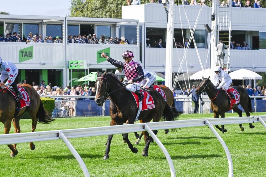 2025 Sydney Stakes winner Rothfire