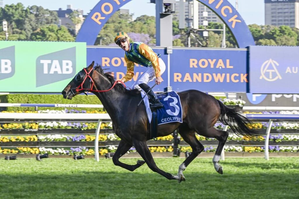 2025 King Charles III Stakes winner Ceolwulf