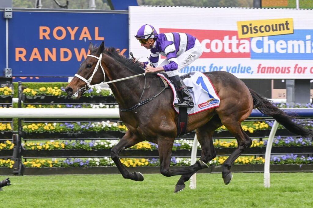 2025 Craven Plate winner Lindermann