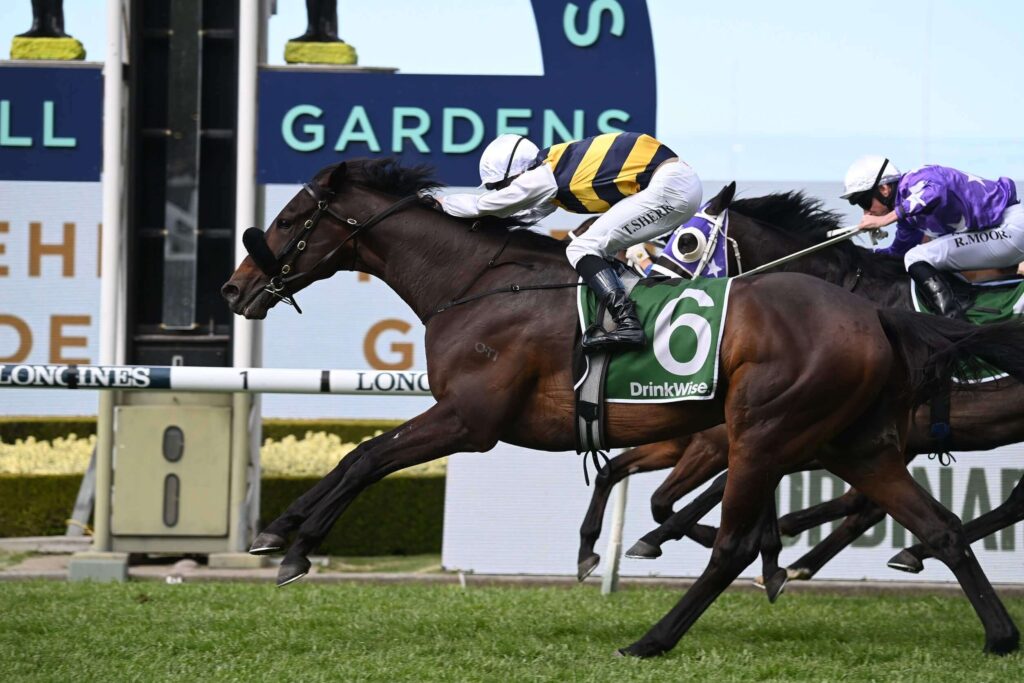 2025 Melbourne Cup Runners: Athabascan