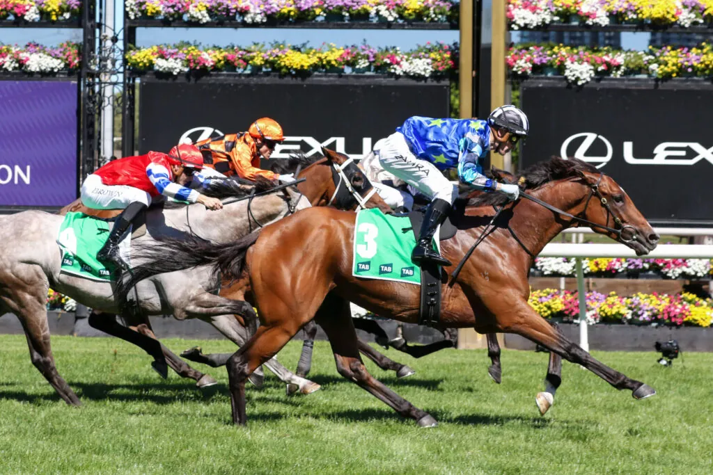 2025 Melbourne Cup Horses: Middle Earth