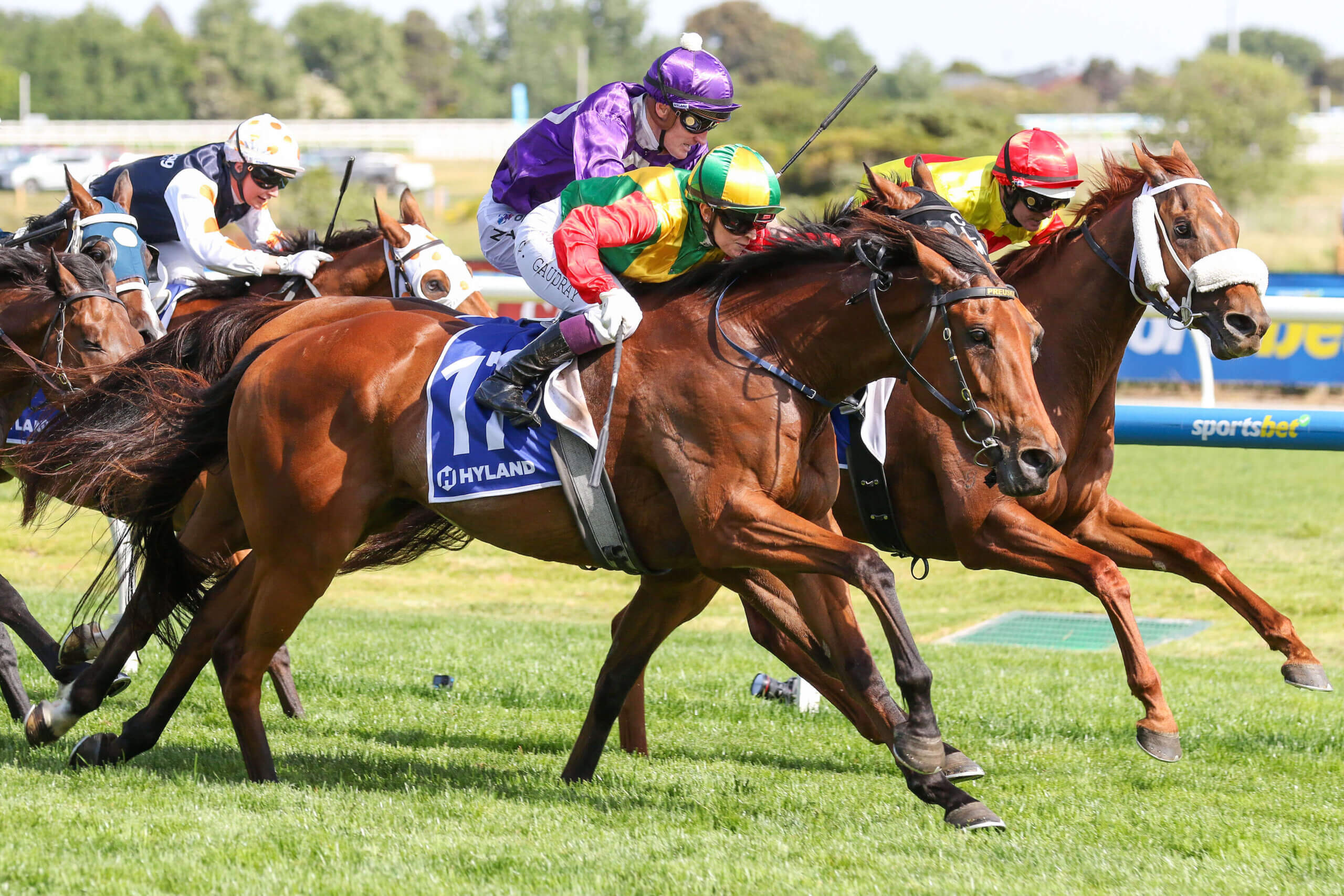 2025 Melbourne Cup Horses: Torranzino