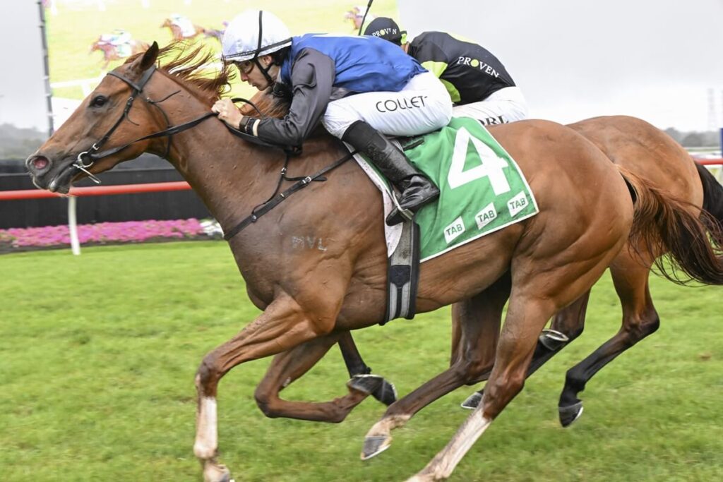 2025 The Warra winner Catch The Glory