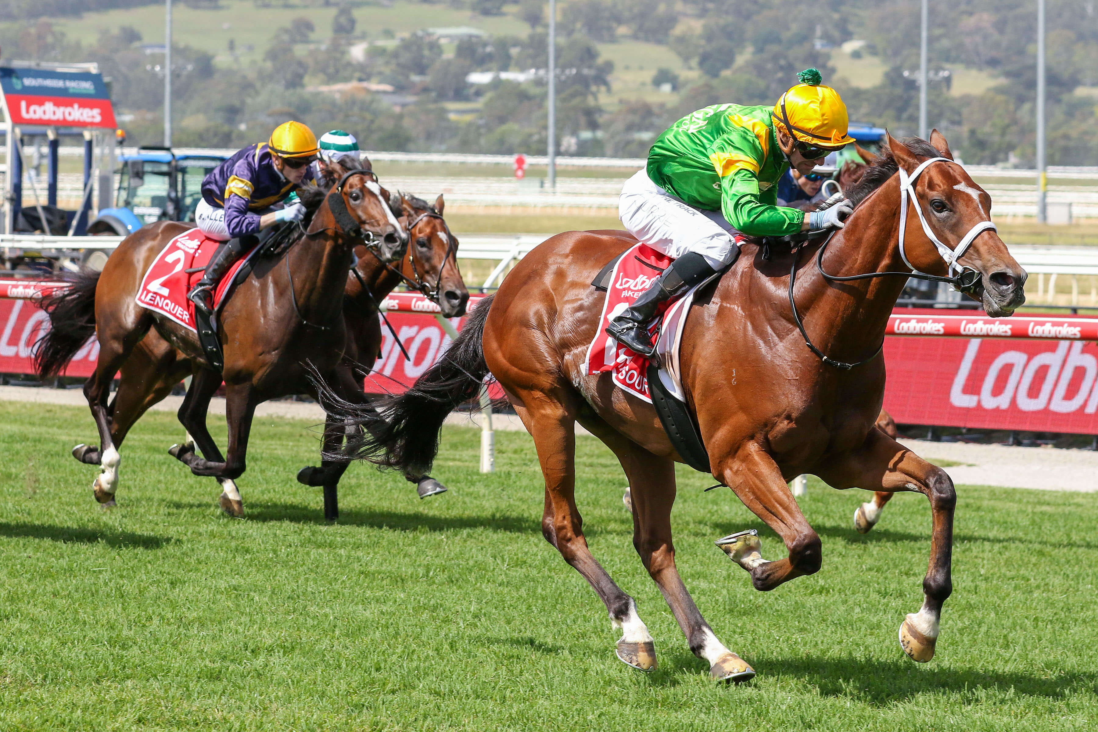 2025 Pakenham Cup winner Taramansour
