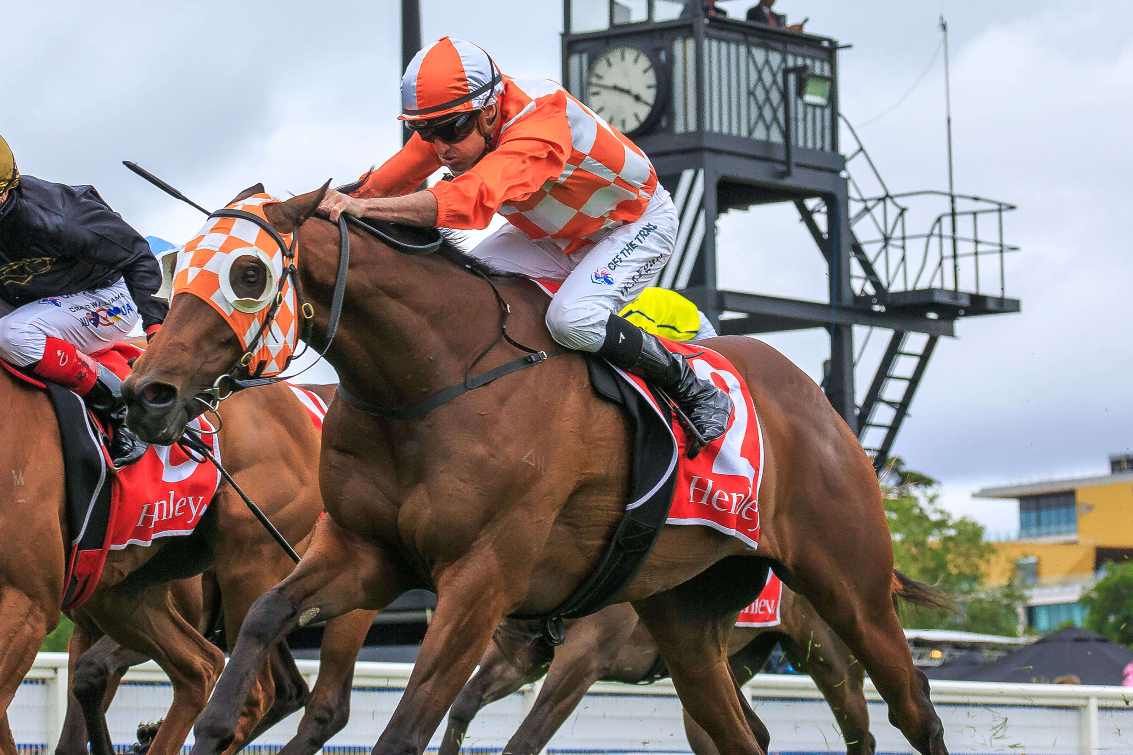 2025 Eclipse Stakes winner Casino Seventeen