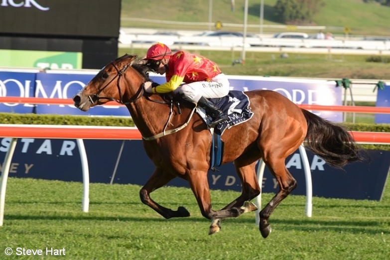 Rosehill Gardens Coolmore Classic Day Preview