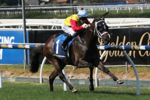 2015 SA Sires’ Produce Stakes Day Preview