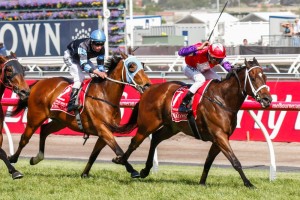 2015 The Goodwood Betting Update