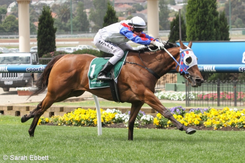 2015 Andrew Ramsden Stakes Day Best Bets