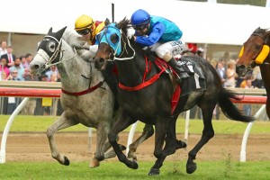 2015 ATC Winter Cup Day Preview