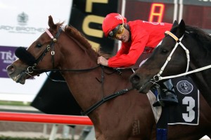 2015 Rosehill Civic Stakes Day Preview