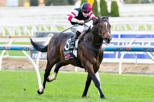 2015 Caulfield Monash Stakes Day Preview