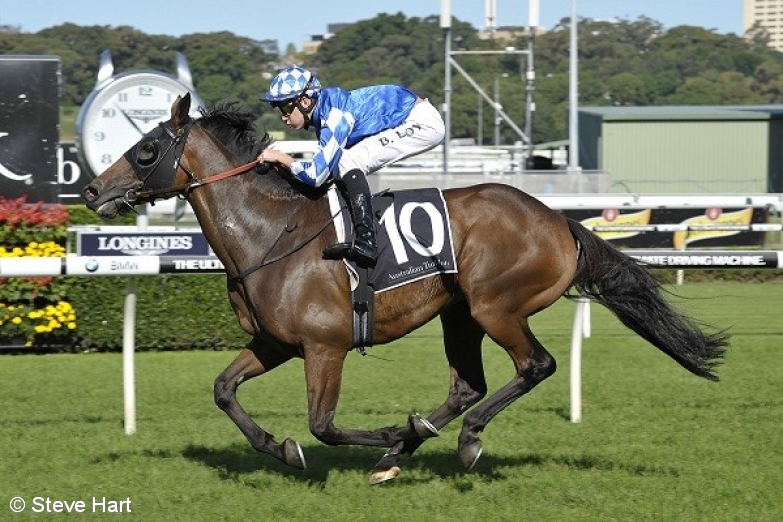 2015 Queensland Cup Day Best Bets