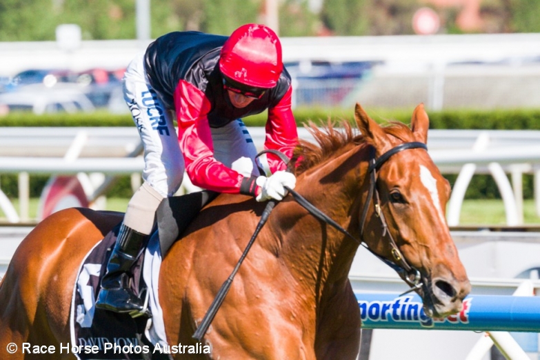 2015 Winter Stakes Day Best Bets
