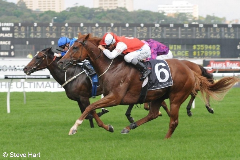 2015 Darwin Cup Odds and Betting Update
