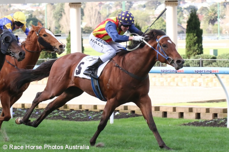 2015 Sir Rupert Clarke Stakes Betting Update