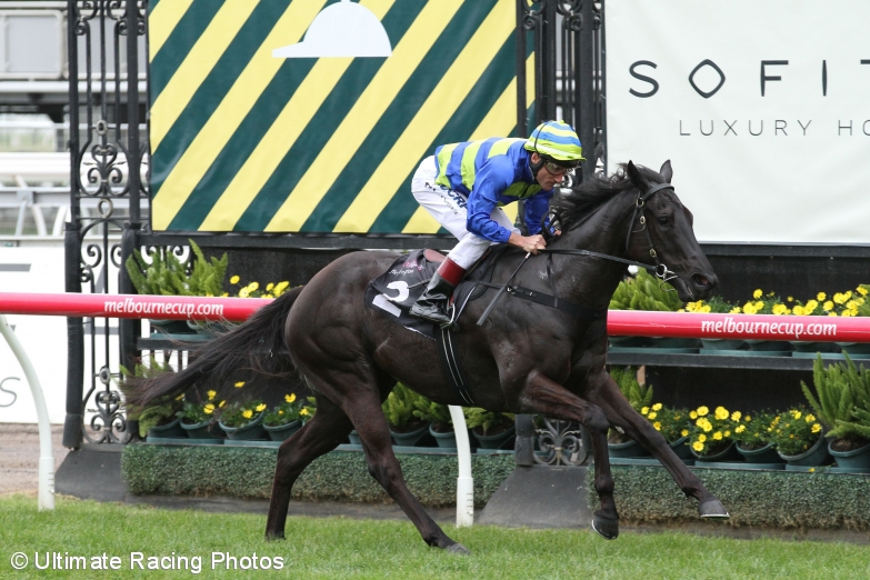 2015 Moir Stakes Night Preview