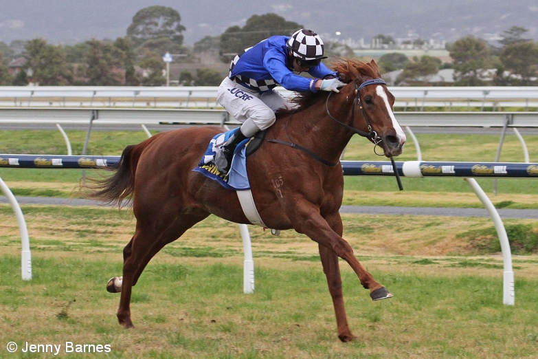 2016 Kensington Stakes Day Preview