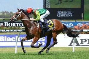 2015 Festival Stakes Day Best Bets