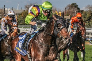 2016 Standish Handicap Day Preview