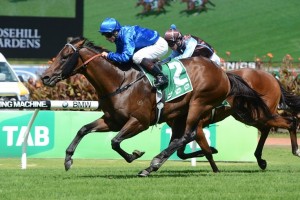 2016 Standish Handicap Day Best Bets