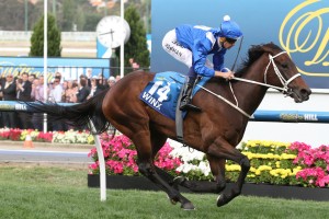 2016 Apollo Stakes Day Preview