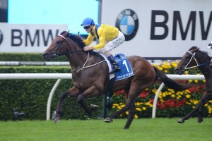 2016 Breeders Classic Day Preview