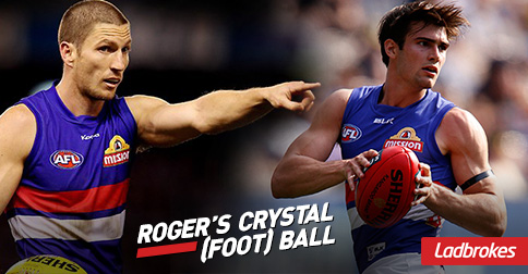 Roger's Crystal (Foot) Ball - Western Bulldogs