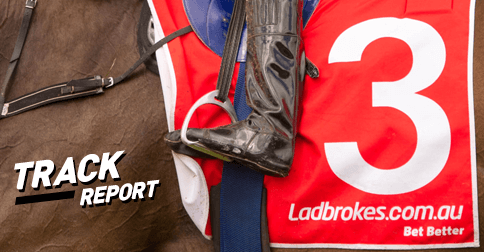 Track Report: 2016 Darwin Cup