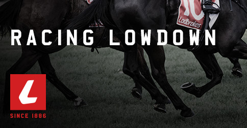 Ladbrokes Lowdown: Memsie Stakes Day