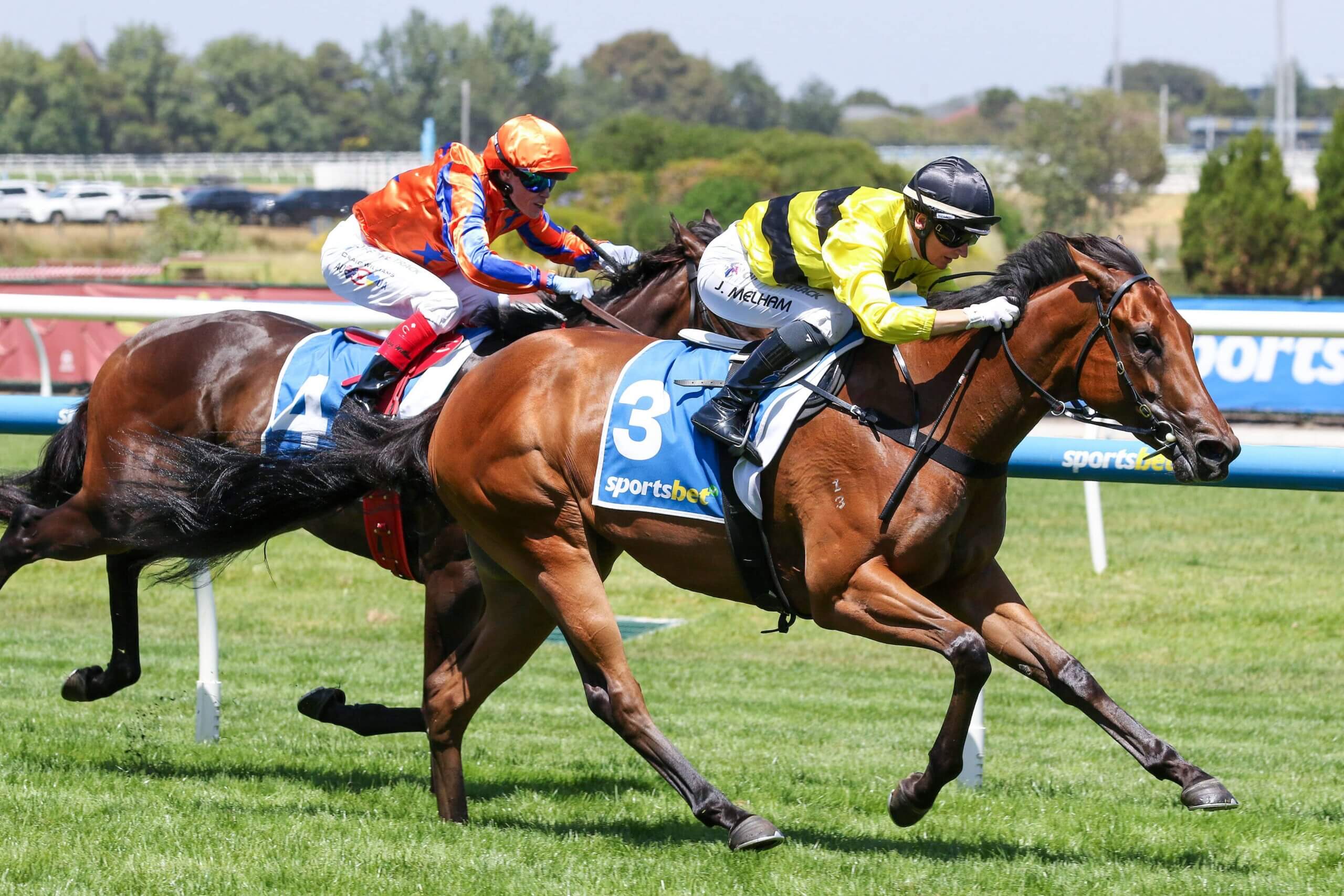 2026 Blue Diamond Prelude (F) winner Streisand