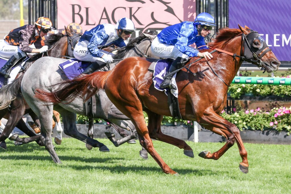 2026 Black Caviar Lightning winner Tentyris