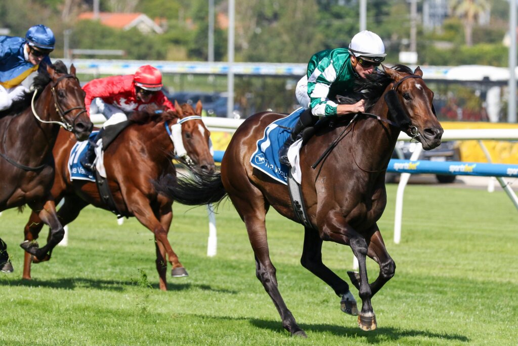 Weekend Racing Roughies: Treasurethe Moment