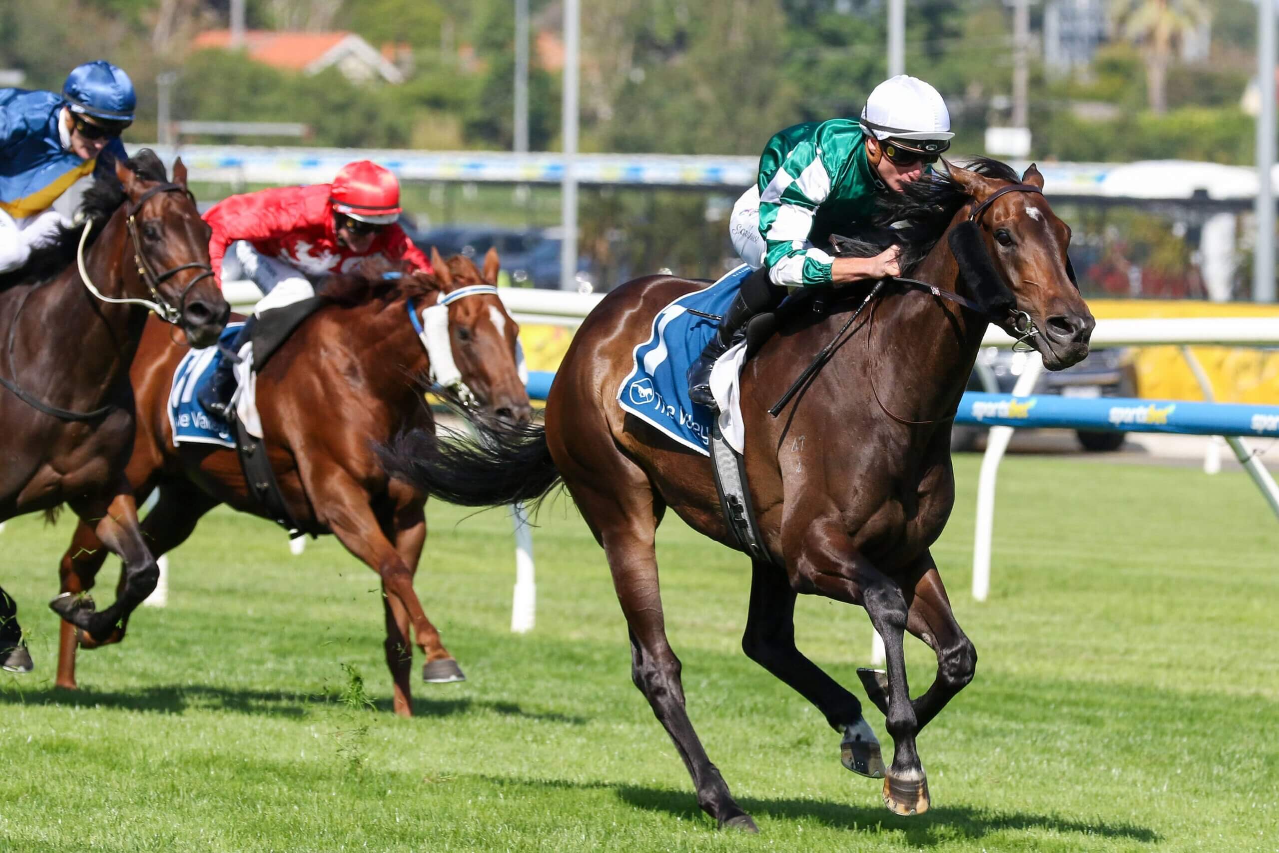 2026 Sunline Stakes winner Treasurethe Moment