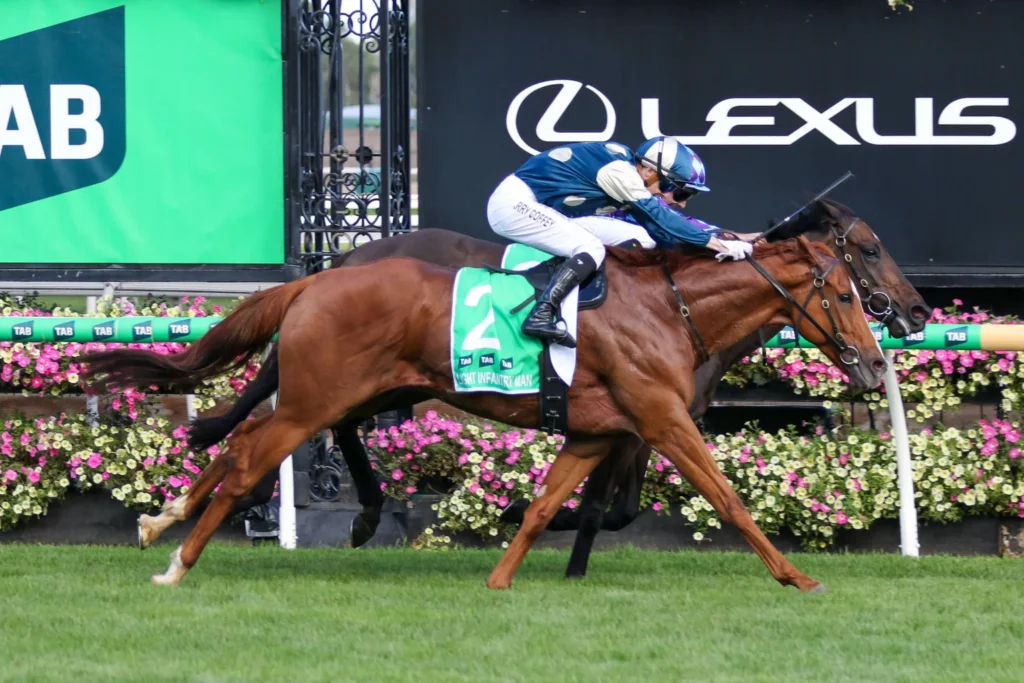 2026 Australian Cup winner Light Infantry Man