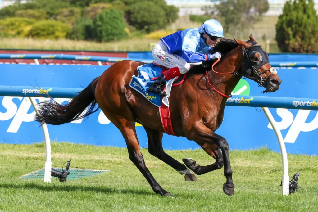 2026 Oakleigh Plate winner Tropicus