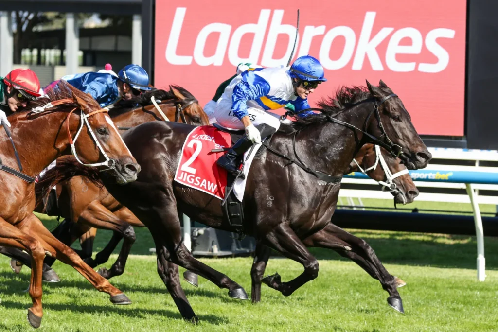 2026 William Reid Stakes winner Jigsaw