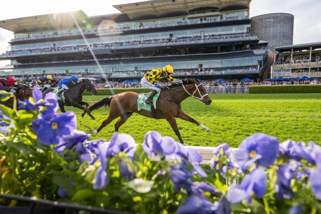 Winx Stakes Tips & Predictions - Autumn Glow